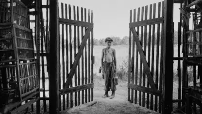 Almost time to roll back to goat time (November 2019 nominations)