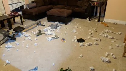 yeah i’m gonna need you to sell meh pillows again