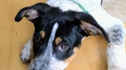 Subtle September Suggested Sales Stuff