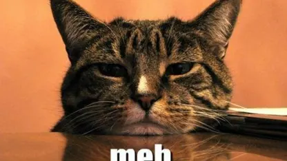 Meh, why you not take bitcoin?