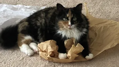 Woot Product Discussions for May 8th 2018