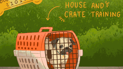 How well trained is your dog: