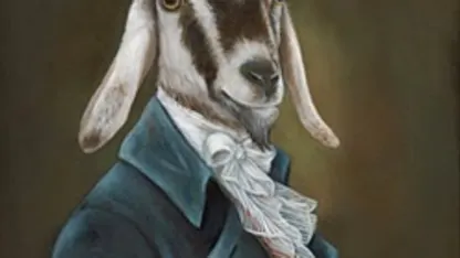 Handsome goat photo!