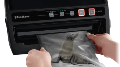 Cinoclav's Field of 32 Day 3