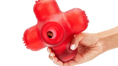 What is your dog's favorite thing in the world?