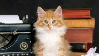 Seeds Shitfaced Stories