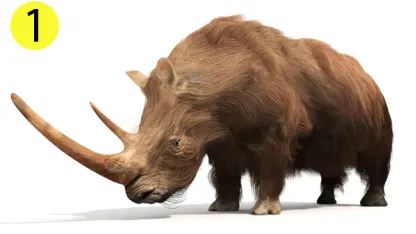Look Smart Trivia 5: Prehistoric Mammals