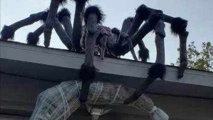 Too early for Halloween?