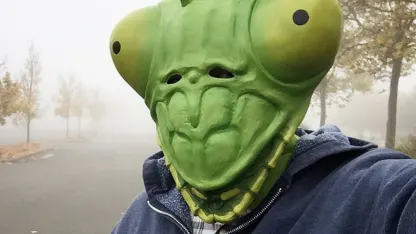 Praying Mantis Mask