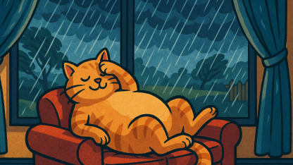 Fill in the blank: It's ______ weather.