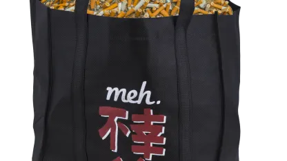 Fukobukuro 19: Fools Rush In