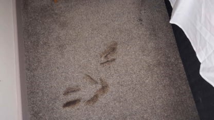 {PSA} Samsung is bringing its exploding feature to more of its product line