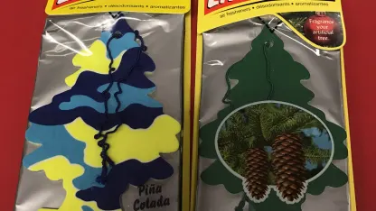 Thanks to you guys, my car will always smell like Pina Coladas (and pine trees)