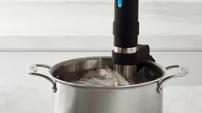 Sous Vide cooker