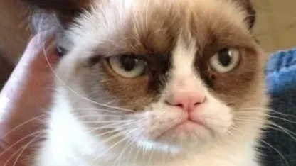 Meh the fourth be with you...