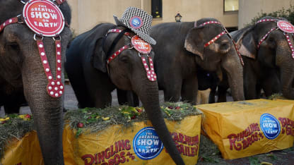 SMART Earthlings needed for your Tech. Help!!!!!!