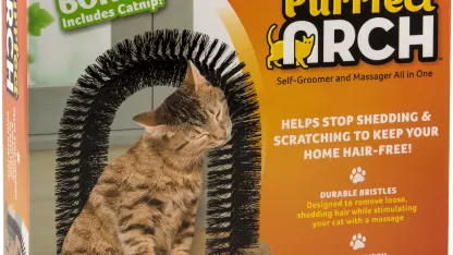 Purrfect Arch or Cat's Meow