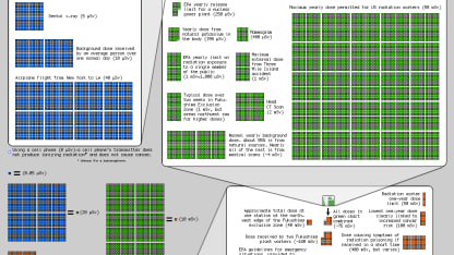 Banana for reference