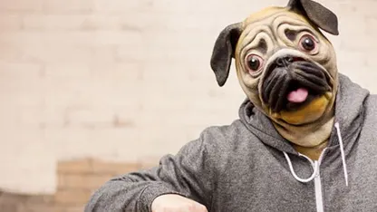 Pug Mask