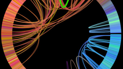 The Infinite Jukebox