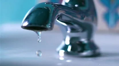 Can Meh become a tradable commodity?