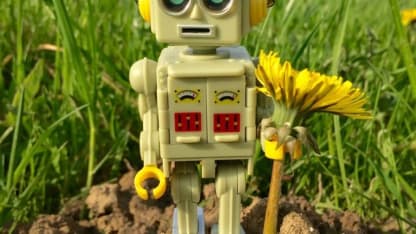 A robot's guide to getting an IRK