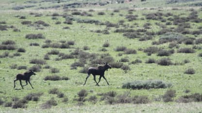 What's your favorite time of year to camp?