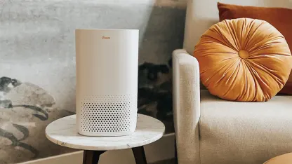 Crane UV True HEPA Air Purifier with Extra Replacement Filter