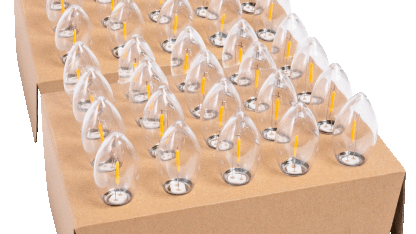 2-Pack: Ebenezer & Co. Oversized 20 Bulb 20FT LED Light Strands