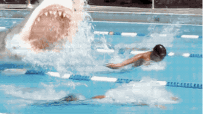 Possible new Olympics Sport?