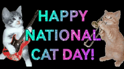 ITS NATIONAL CAT DAY, POST YOUR PICS