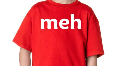 Is MEH responsible for Ebay being down today?