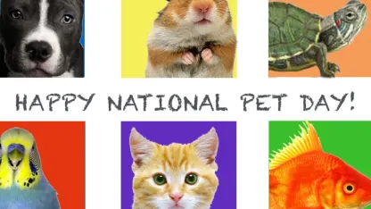 Happy National Pet Day!