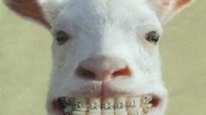 Substitute Goat 2/9 thread