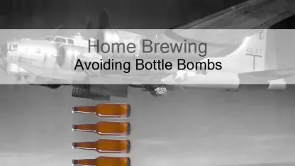 Home brewers: you ever overprime your bottles? What did you do?