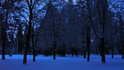 Stopping ... (for a moment)