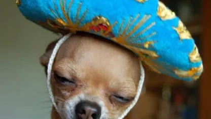 Two of each in stock?