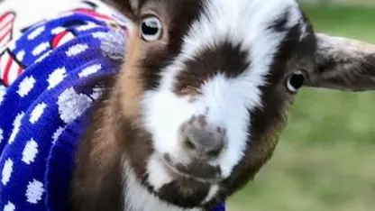 Ugly Christmas Sweater Day