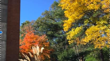 Is it winter yet? What does it look like outside your window today?