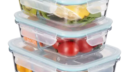 Masions 6-Piece Borosilicate Glass Divided Containers