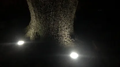 8-Pack: In-Ground Solar Pathway Lights with Bright LEDs