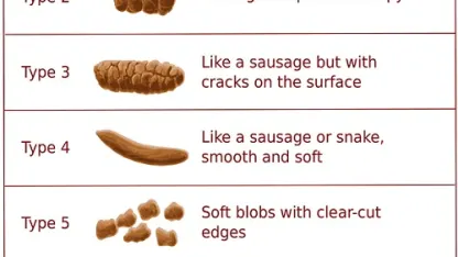 How many poops do you take a day?