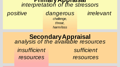 Describe your current stress level on a scale of 1 to 5 (5 being the most stress):