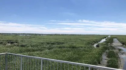 Best place to walk/hike?