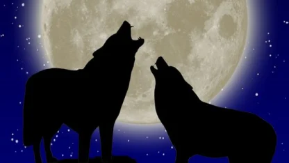 Are you going to be howling at the moon tonight? I am.