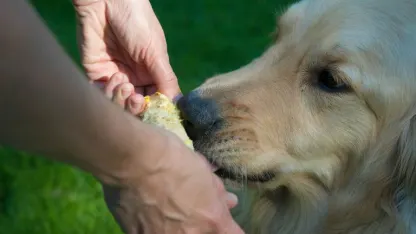 So, uhh, what should we do with 1000 leftover smart watches?