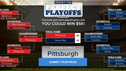 Super Bowl 50 Predictions