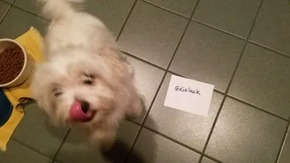 Seeds Scavenger Scramble Day 29