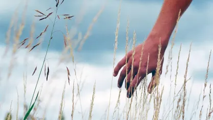 Don't look it up: Do you think a severed finger could unlock an iPhone?