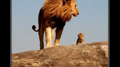 Who's Your Favorite/s Cartoon Character of All-Time?